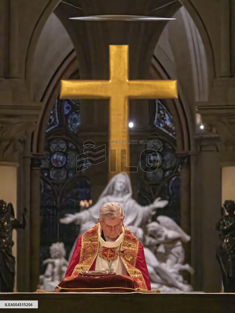 Exclusive - Illustration - The Cathedral of Notre Dame - Paris