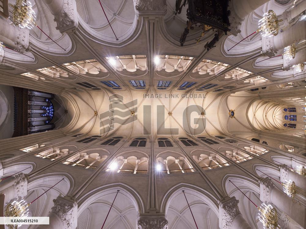 Exclusive - Illustration - The Cathedral of Notre Dame - Paris