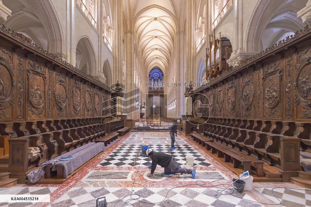 Exclusive - Illustration - The Cathedral of Notre Dame - Paris