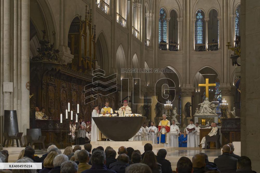 Exclusive - Illustration - The Cathedral of Notre Dame - Paris