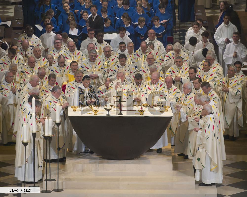 Exclusive - Illustration - The Cathedral of Notre Dame - Paris
