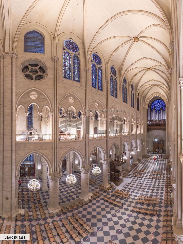 Exclusive - Illustration - The Cathedral of Notre Dame - Paris