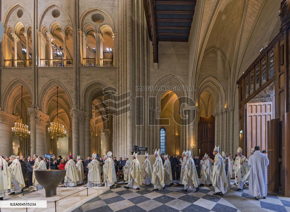 Exclusive - Illustration - The Cathedral of Notre Dame - Paris