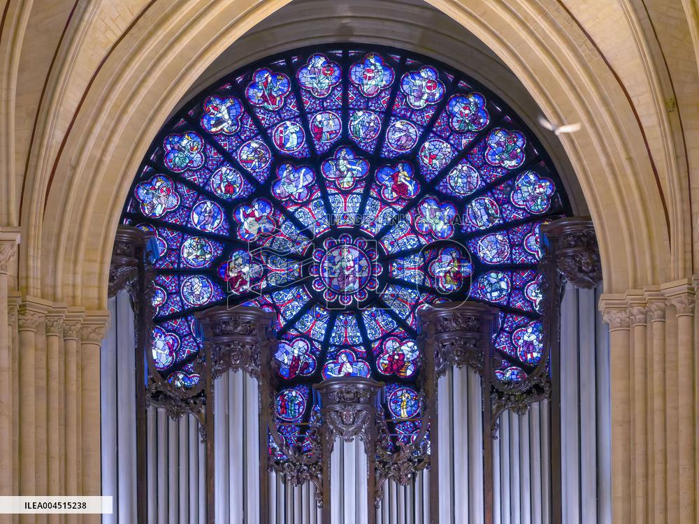 Exclusive - Illustration - The Cathedral of Notre Dame - Paris