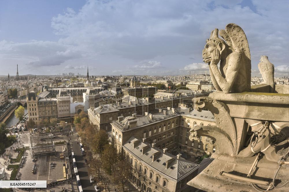 Exclusive - Illustration - The Cathedral of Notre Dame - Paris