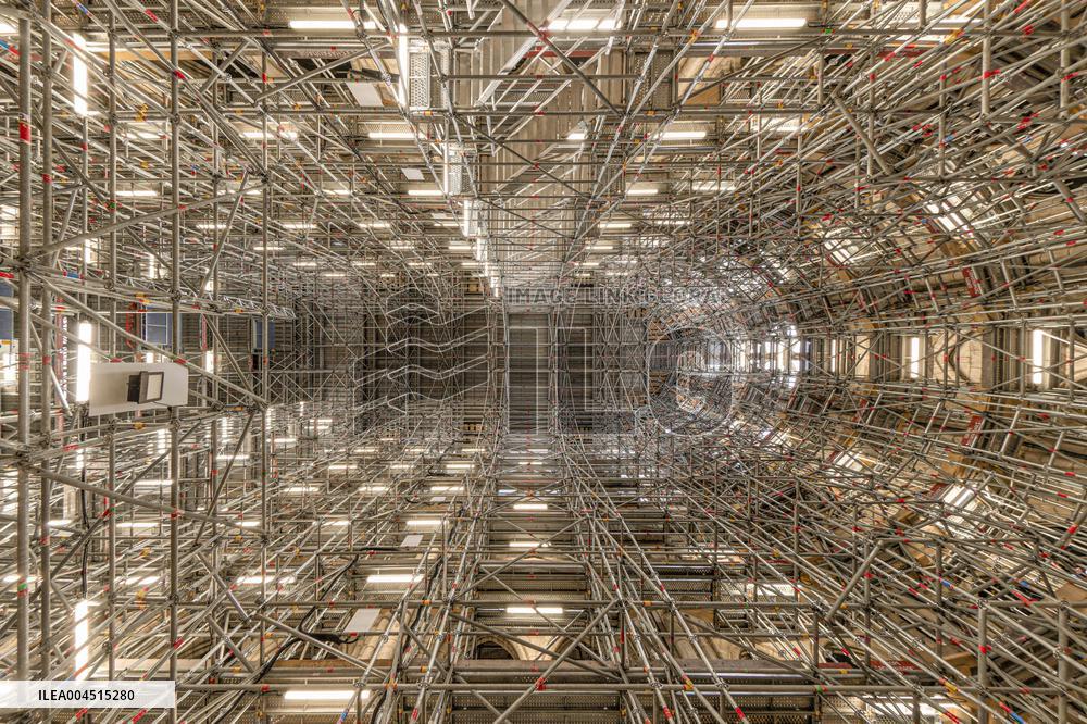 Exclusive - Illustration - The Cathedral of Notre Dame - Paris