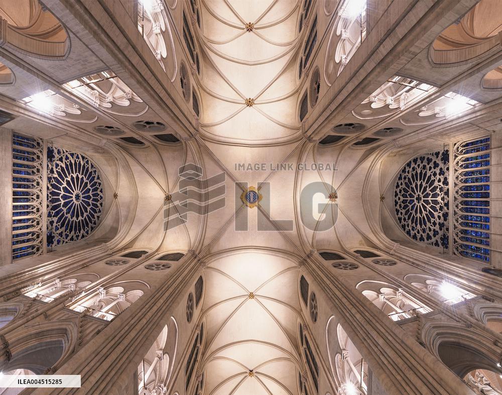 Exclusive - Illustration - The Cathedral of Notre Dame - Paris