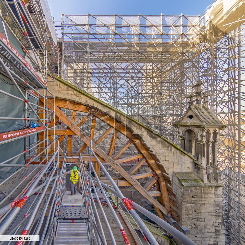 Exclusive - Illustration - The Cathedral of Notre Dame - Paris