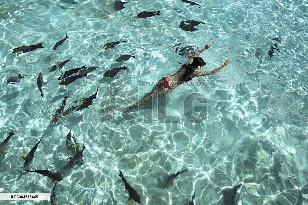 Illustration - Maldives