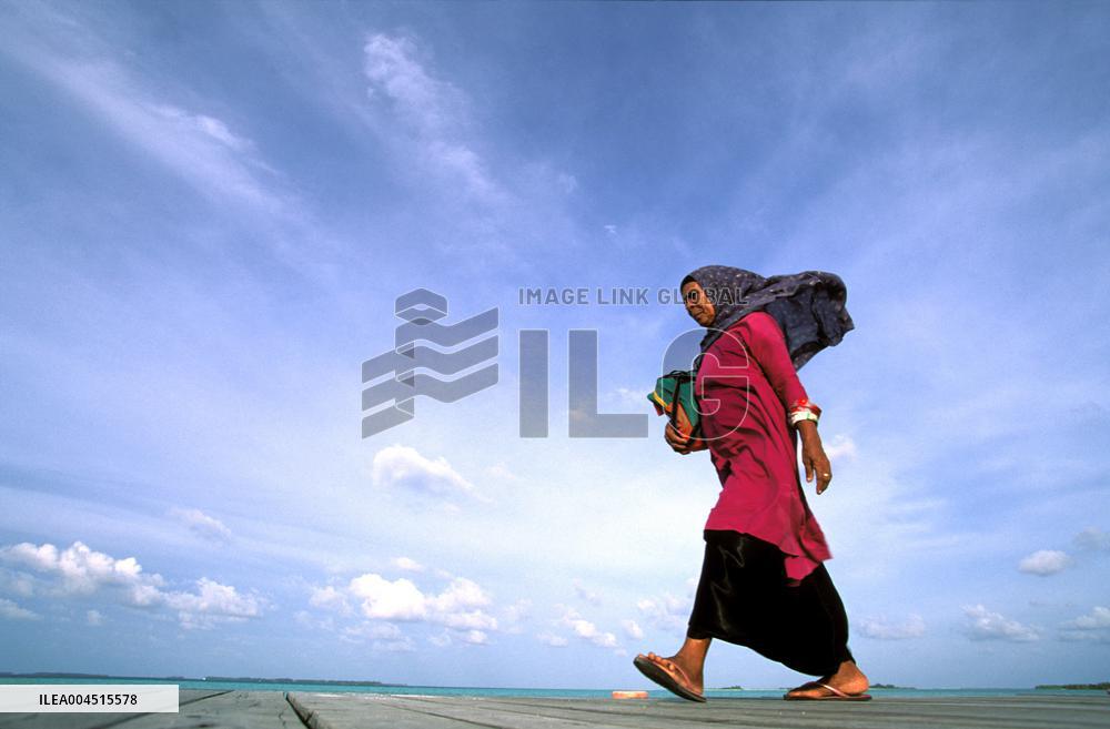 Illustration - Maldives