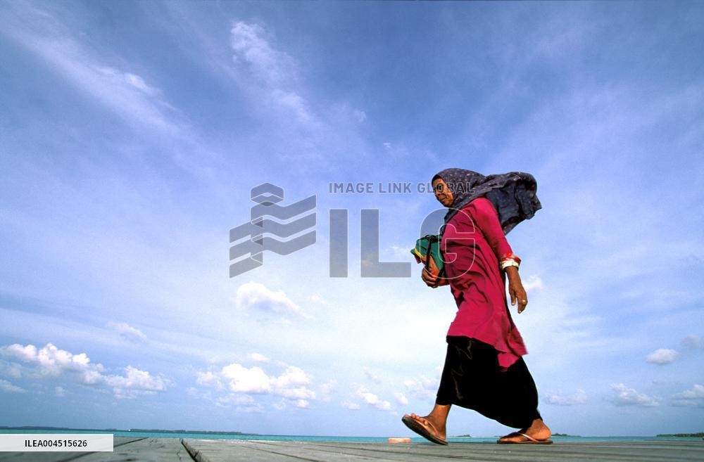 Illustration - Maldives