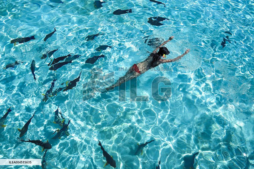 Illustration - Maldives