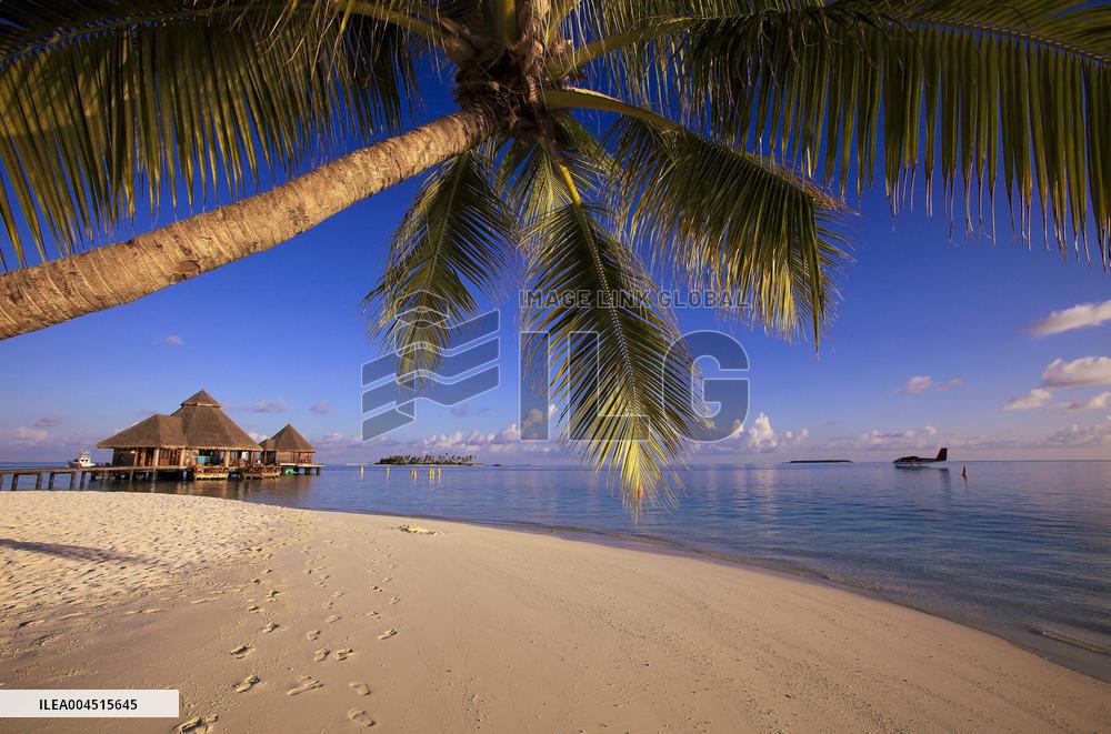 Illustration - Maldives