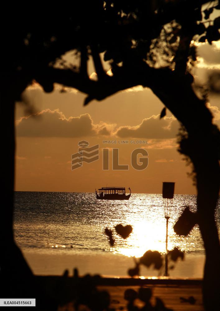 Illustration - Maldives