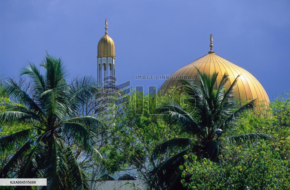 Illustration - Maldives