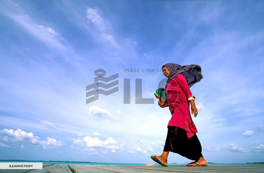 Illustration - Maldives