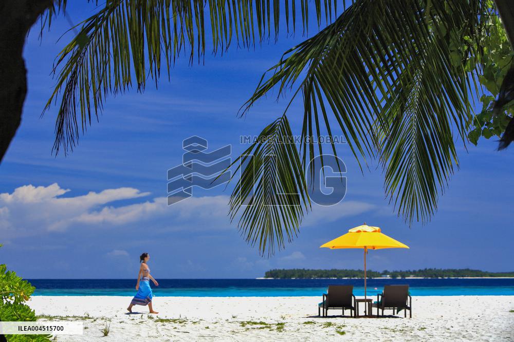 Illustration - Maldives