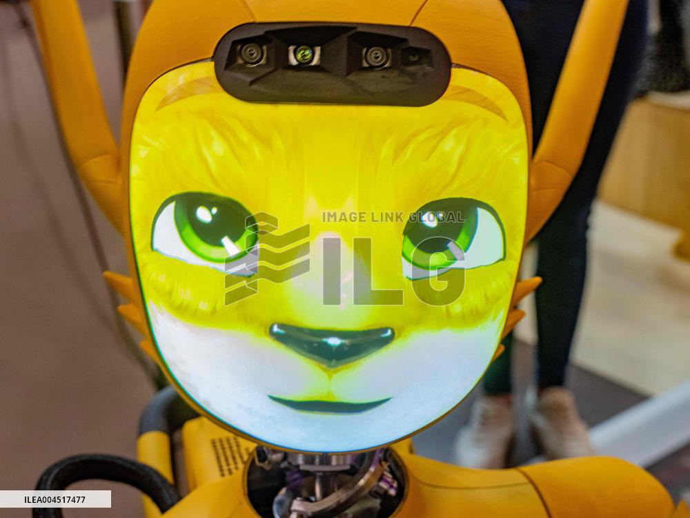 Mirokai, Humanoid Robot At Vivatech - Paris