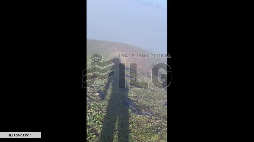 China: Rare ‘Buddha’s Light’ Halo Seen on Sichuan Mountain