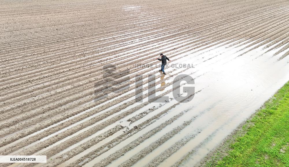 Potato field submerged