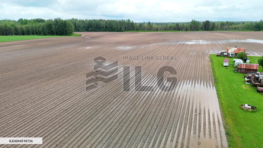 Potato field submerged