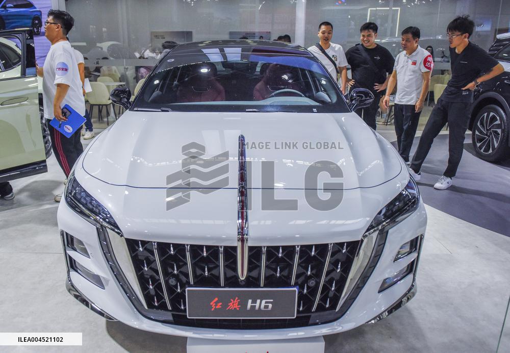 2025 New Energy and Intelligent Vehicle Exhibition in Nanning