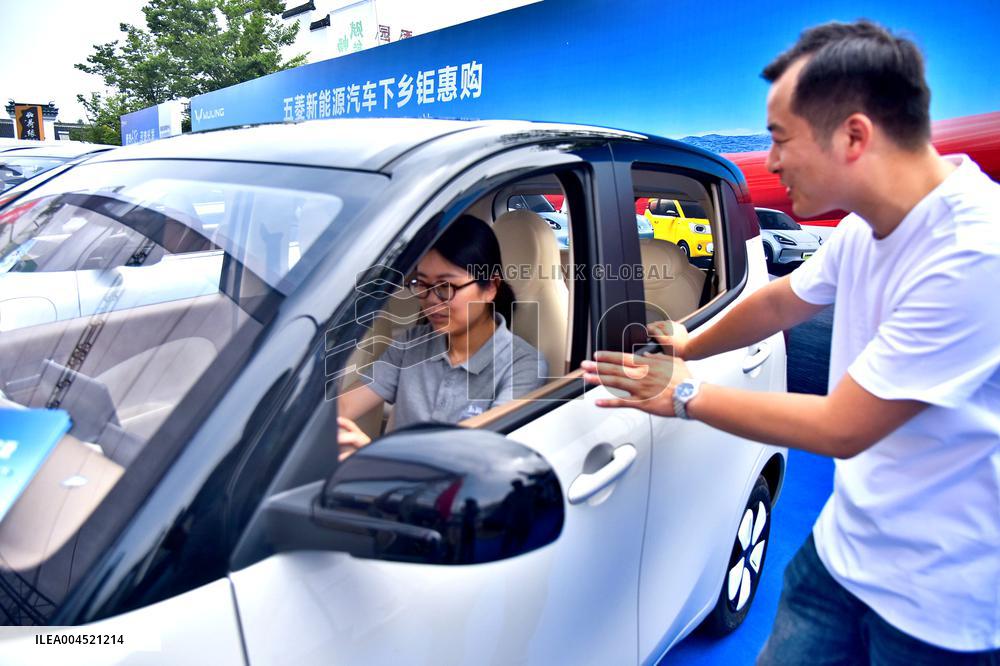 Rural New Energy Vehicles Consumption