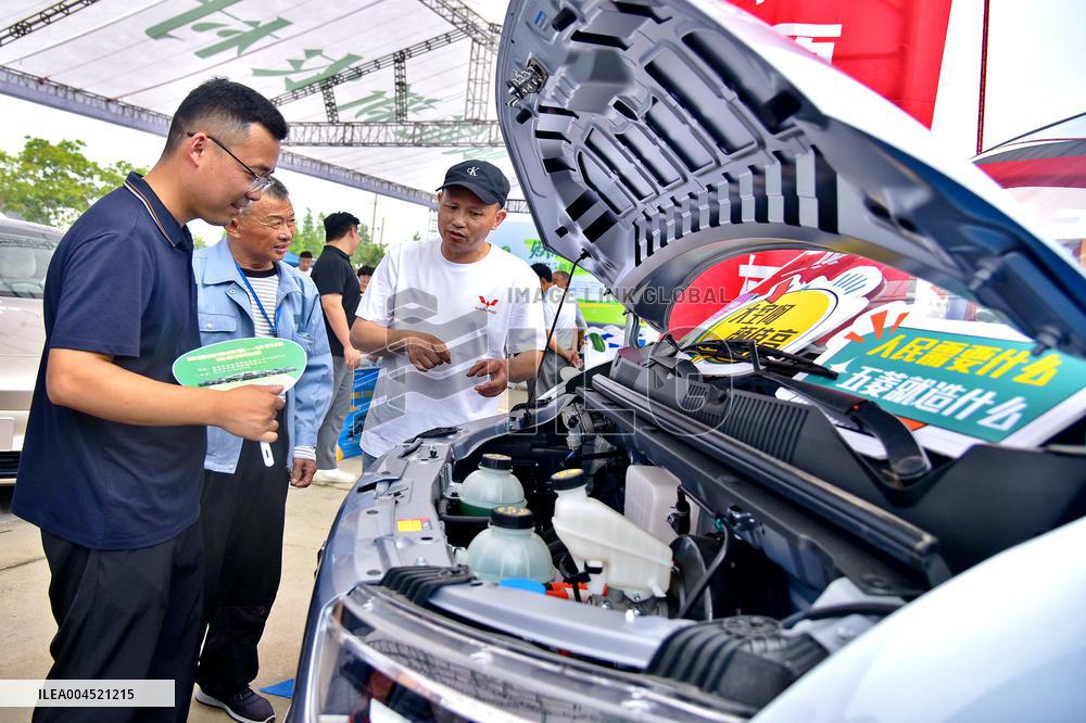 Rural New Energy Vehicles Consumption