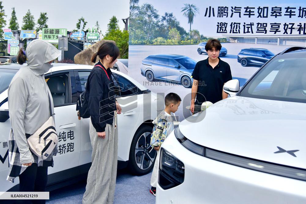 Rural New Energy Vehicles Consumption