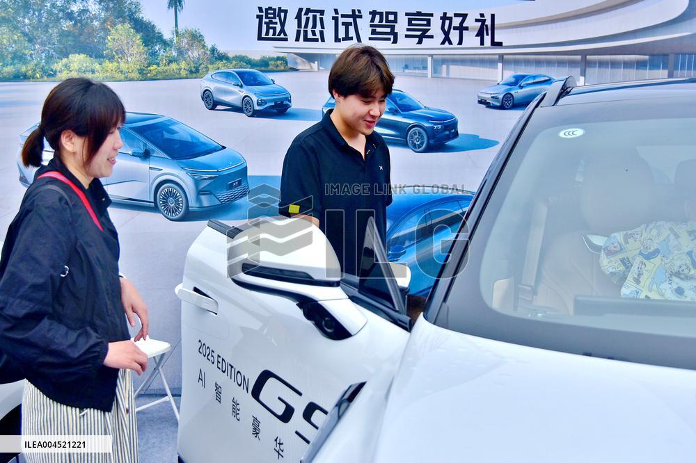 Rural New Energy Vehicles Consumption