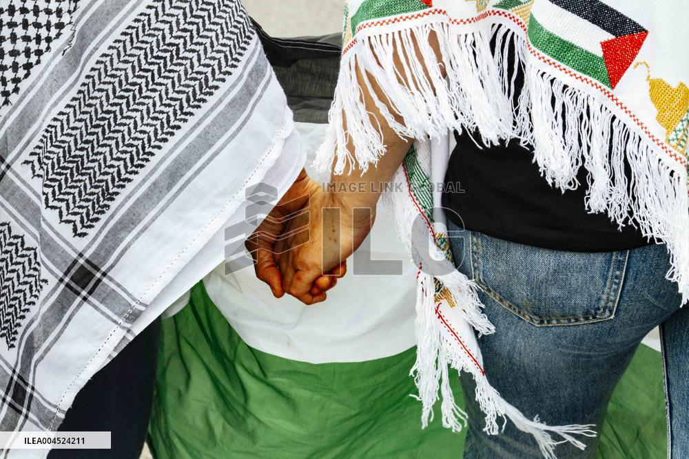 Pro-Palestinian Demonstration - Toulouse