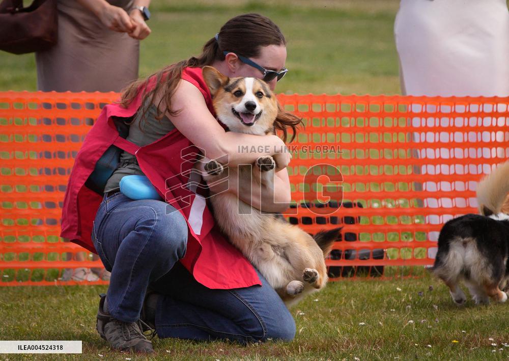 Corgi Race - Vancouver