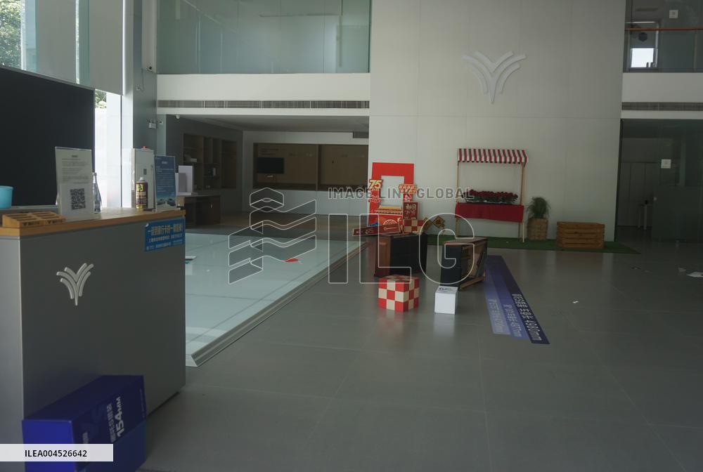 Nezha Auto Bankruptcy