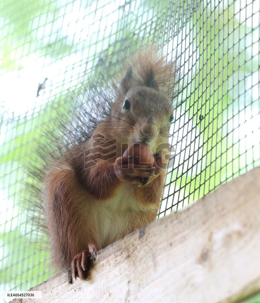 Urban Wildlife Rehabilitation