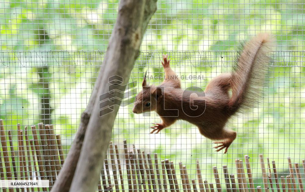 Urban Wildlife Rehabilitation