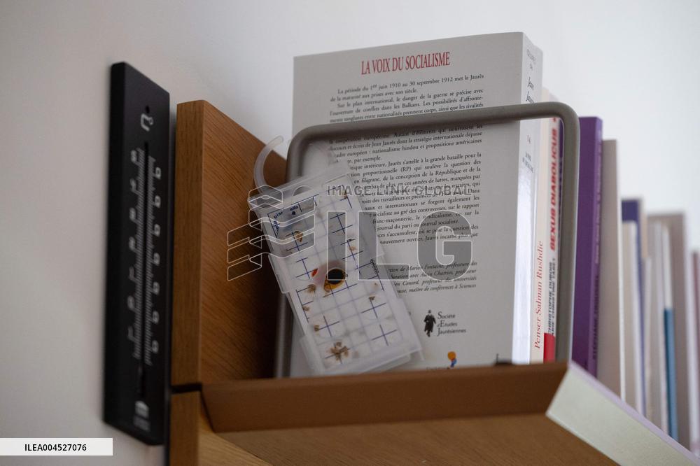 Portrait of Clementine Autain - Paris