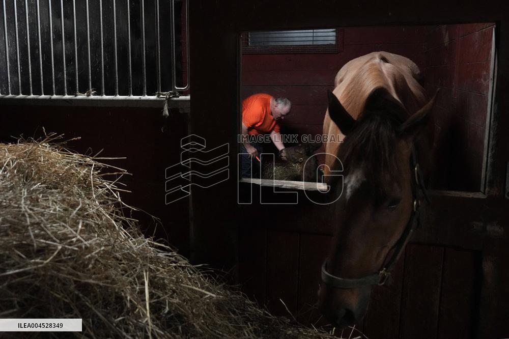 Foaling At Silver Duck Stable - Canada