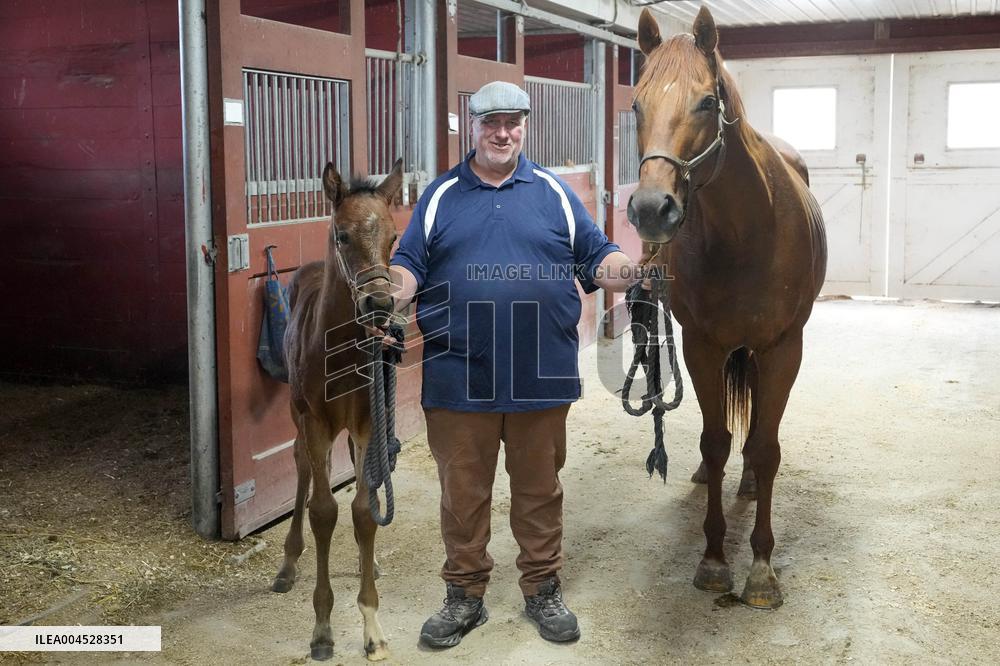 Foaling At Silver Duck Stable - Canada
