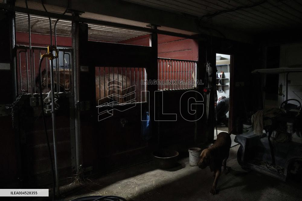 Foaling At Silver Duck Stable - Canada