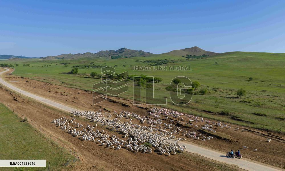 Nomadic Life in Inner Mongolia's Horqin Grassland - China