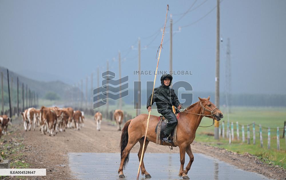 Nomadic Life in Inner Mongolia's Horqin Grassland - China