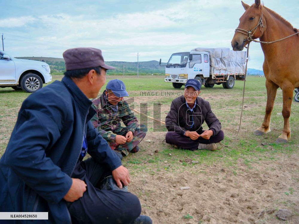 Nomadic Life in Inner Mongolia's Horqin Grassland - China