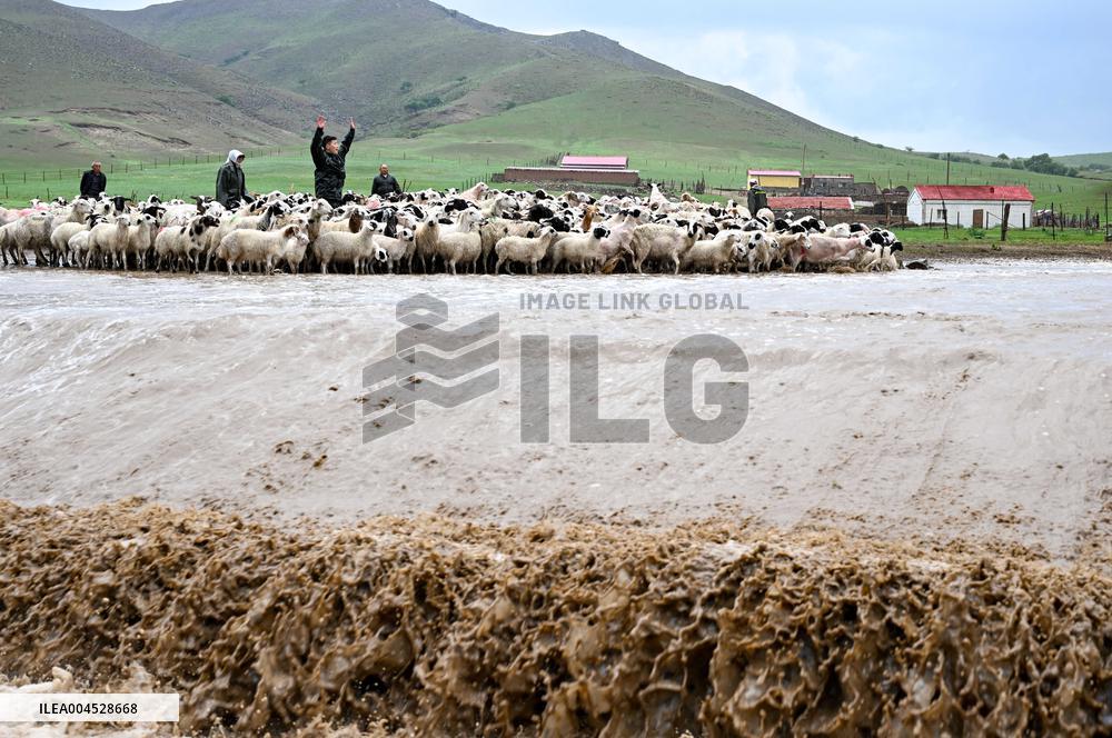 Nomadic Life in Inner Mongolia's Horqin Grassland - China