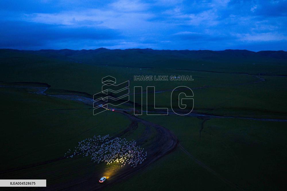 Nomadic Life in Inner Mongolia's Horqin Grassland - China