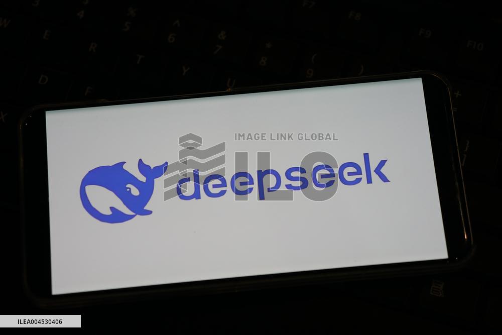 DEEPSEEK