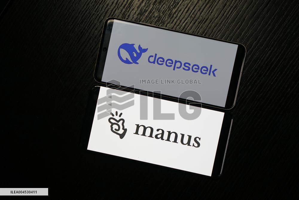 DEEPSEEK MANUS