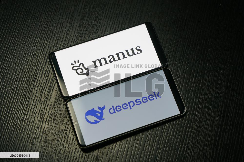DEEPSEEK MANUS