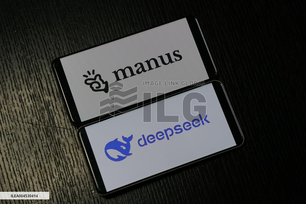 DEEPSEEK MANUS