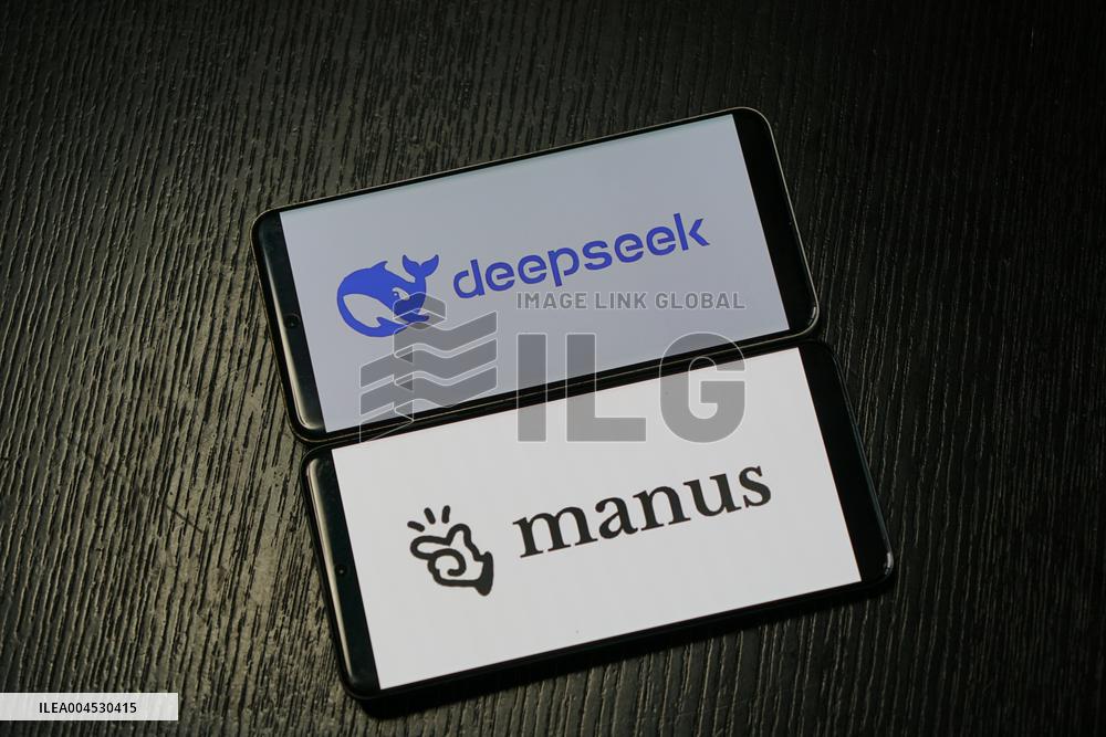 DEEPSEEK MANUS