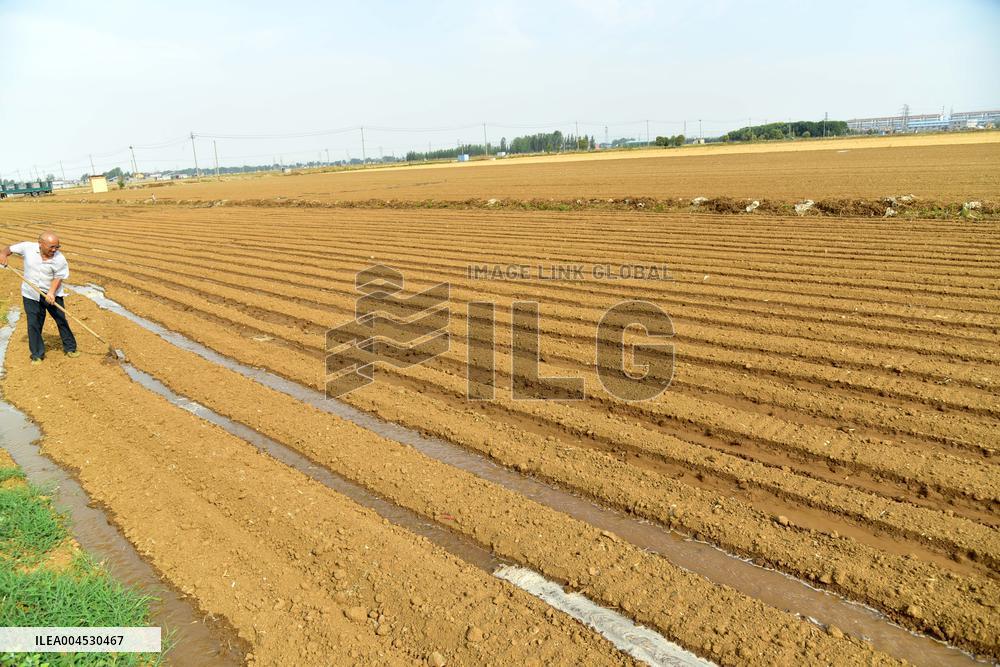 Agriculture Under High Temperatures